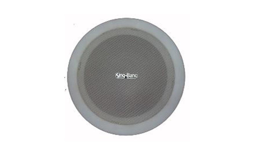 天花揚聲器S-116