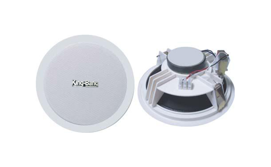 天花揚聲器S-166