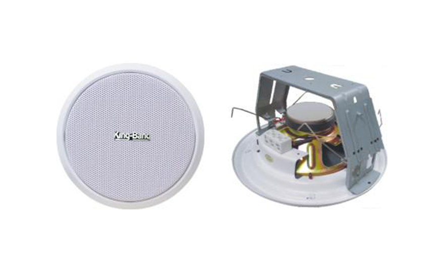 天花揚聲器S-316