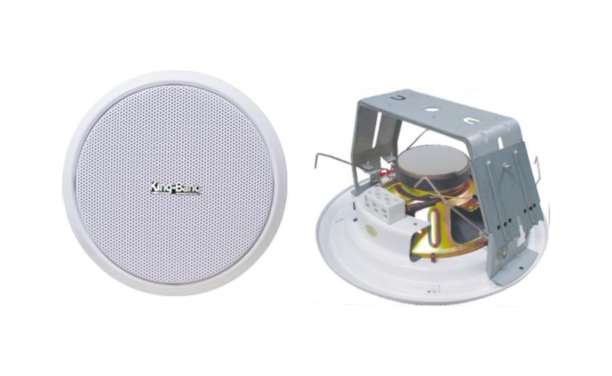 天花揚(yáng)聲器S-336