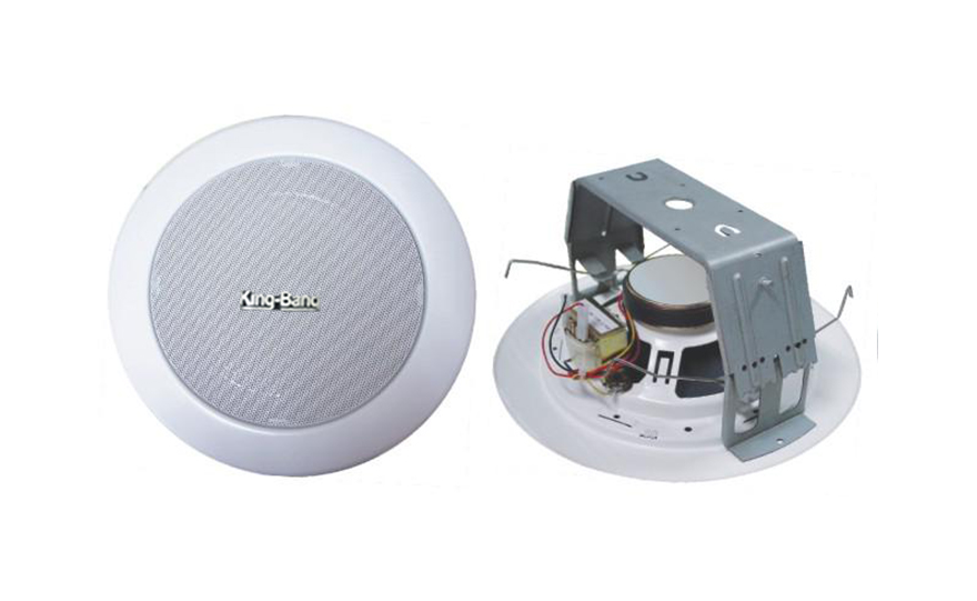 天花揚(yáng)聲器S-356