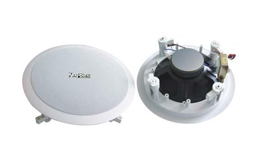 天花揚(yáng)聲器S-363